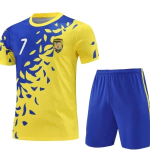 Custom Polyester Training Set